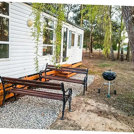 Grill & Chill 3